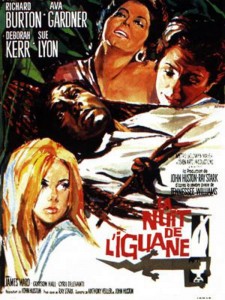 la-nuit-de-liguane