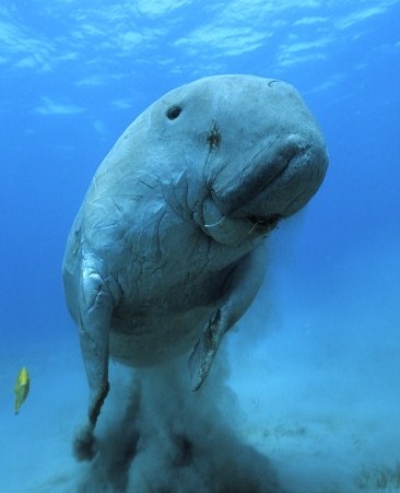 photo-Oceans-2004-11
