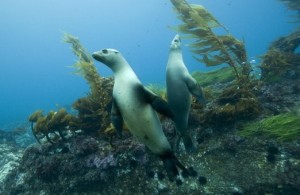 photo-Oceans-2004-25
