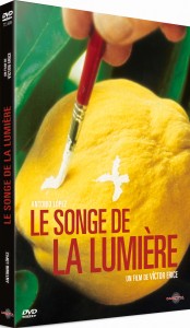3D LE SONGE DE LA LUMIERE DEF