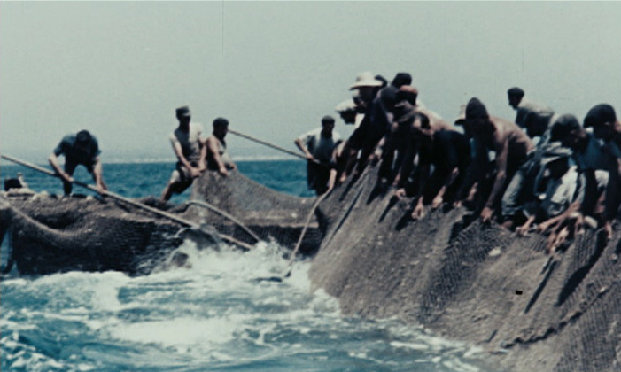 Pêcheurs et activités de pêche-2 contadini-del-mare-1