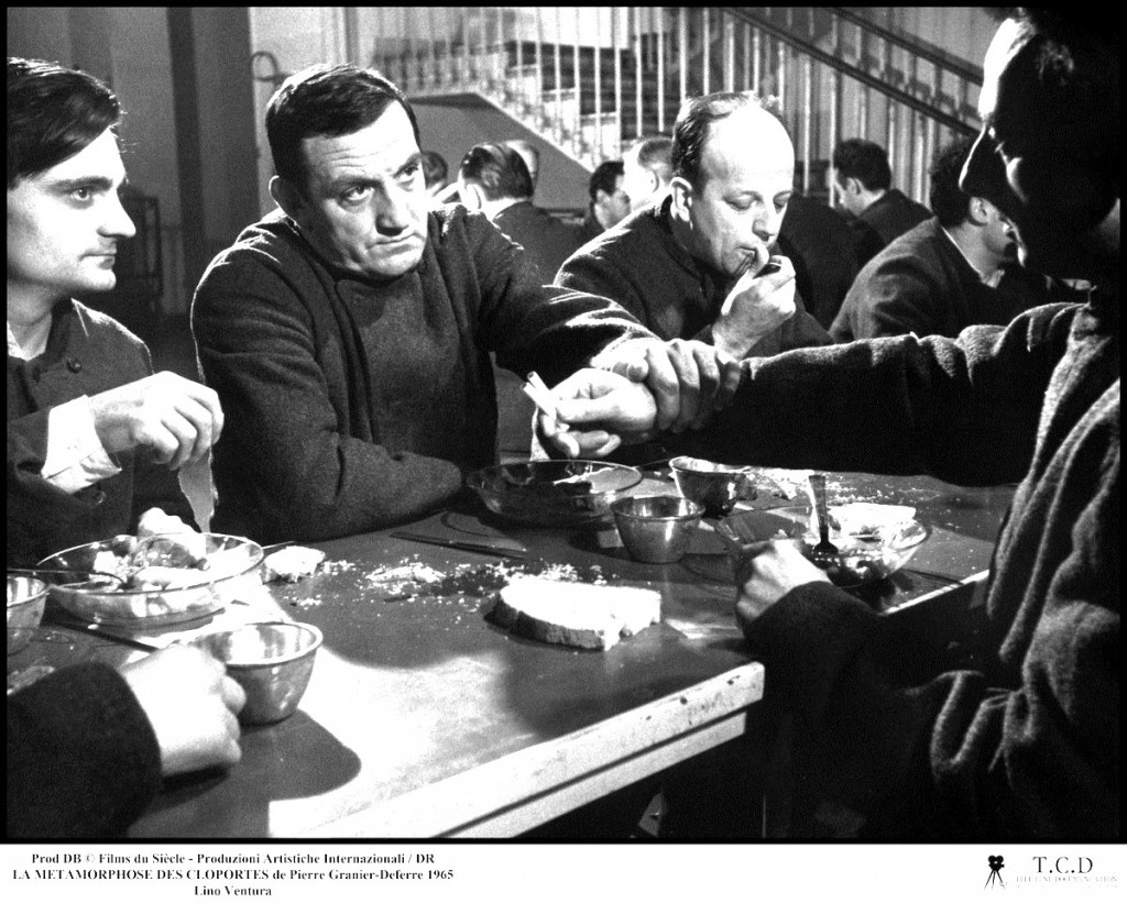METAMORPHOSE DES CLOPORTES (1965) 17