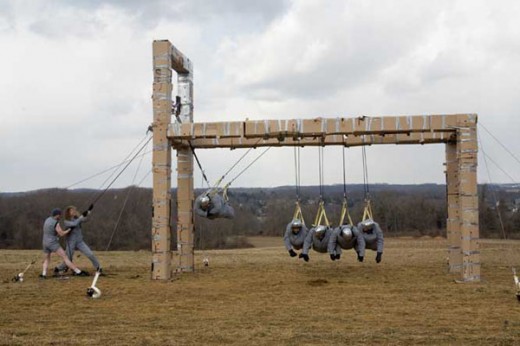photo-Jackass-Number-Two-2006-2